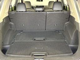 
 Nissan Rogue full									