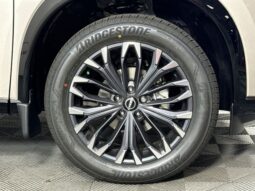 
 Nissan Rogue full									