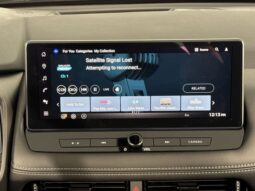 
 Nissan Rogue full									