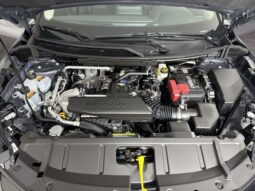 
										Nissan Rogue full									