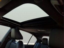 Toyota Corolla full