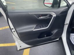 
										Toyota RAV4 Hybrid full									
