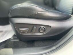 
										Toyota RAV4 Hybrid full									