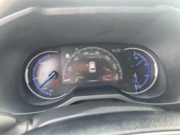 
										Toyota RAV4 Hybrid full									