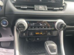 
										Toyota RAV4 Hybrid full									