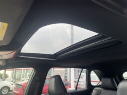 
										Toyota RAV4 Hybrid full									