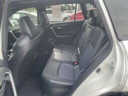 
										Toyota RAV4 Hybrid full									
