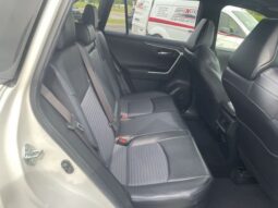 
										Toyota RAV4 Hybrid full									