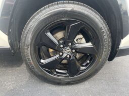 
										Toyota RAV4 Hybrid full									