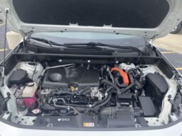 
										Toyota RAV4 Hybrid full									