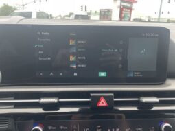 
 Kia Sportage full									