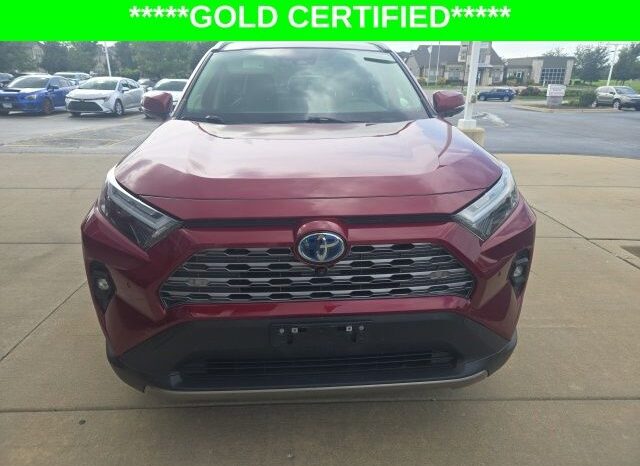 
 Toyota RAV4 Hybrid full									