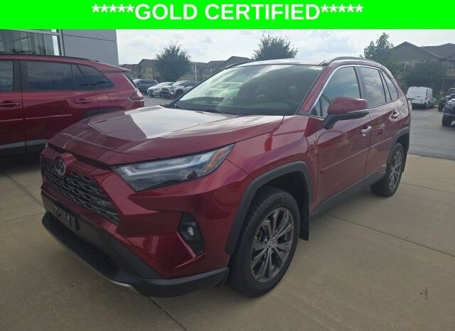 
 Toyota RAV4 Hybrid full									