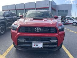 Toyota 4Runner full