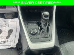 
										Toyota RAV4 Hybrid full									
