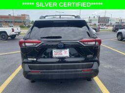 
										Toyota RAV4 Hybrid full									