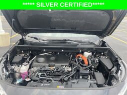 
										Toyota RAV4 Hybrid full									