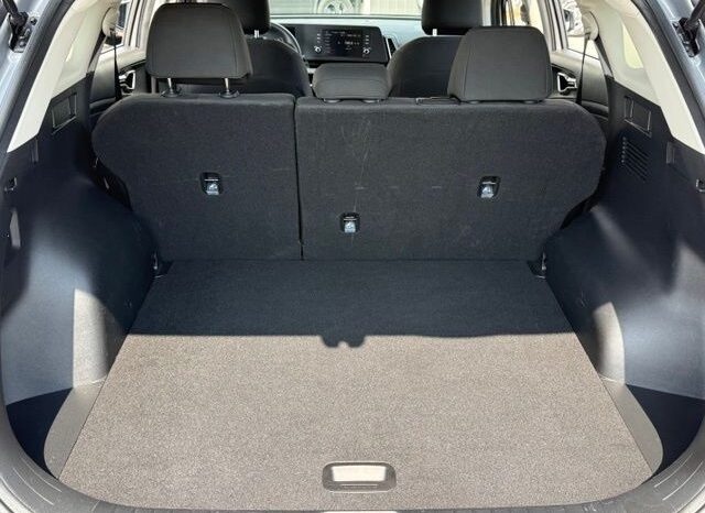 
 Kia Sportage full									
