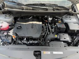 
 Kia Sportage full									
