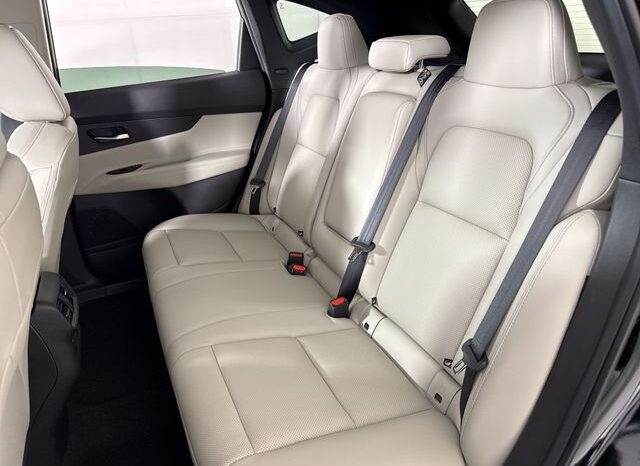 
 Nissan Murano full									