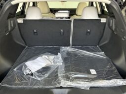 Nissan Murano full