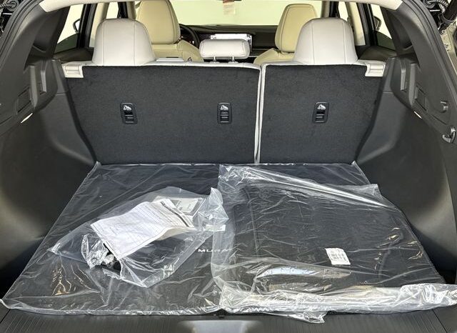
 Nissan Murano full									