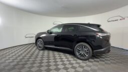 Nissan Murano full