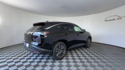 Nissan Murano full