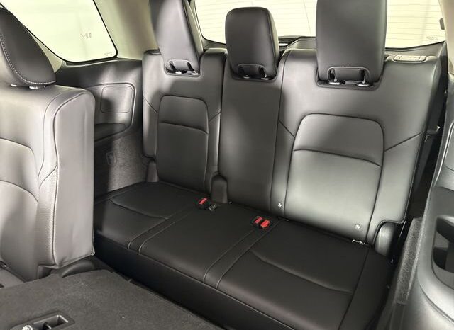 
 Nissan Pathfinder full									
