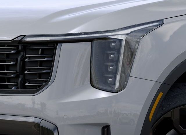 
 Kia Sorento full									