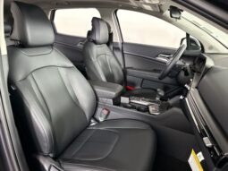 
 Kia Sportage full									