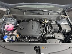 
 Kia Sportage full									