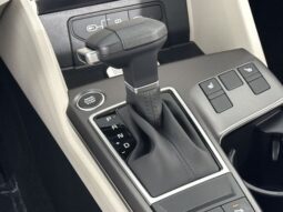 
										Kia Sportage full									