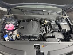
										Kia Sportage full									