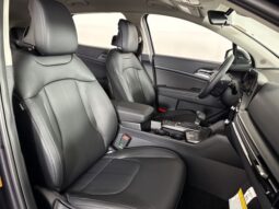 
										Kia Sportage full									
