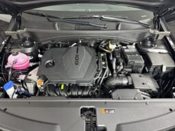 
										Kia Sportage full									