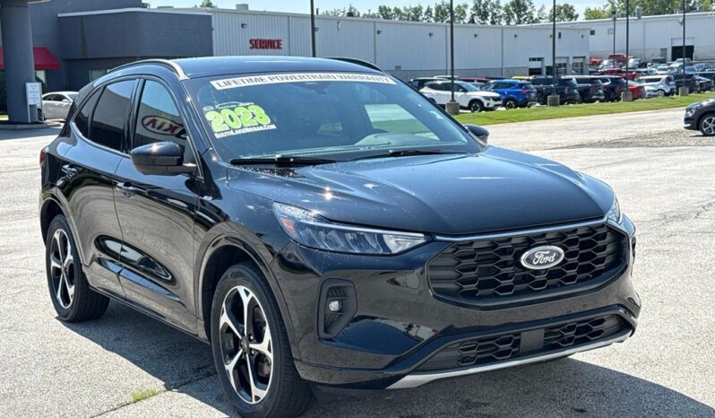 
 Ford Escape full									