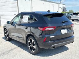 
 Ford Escape full									