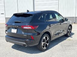 
 Ford Escape full									