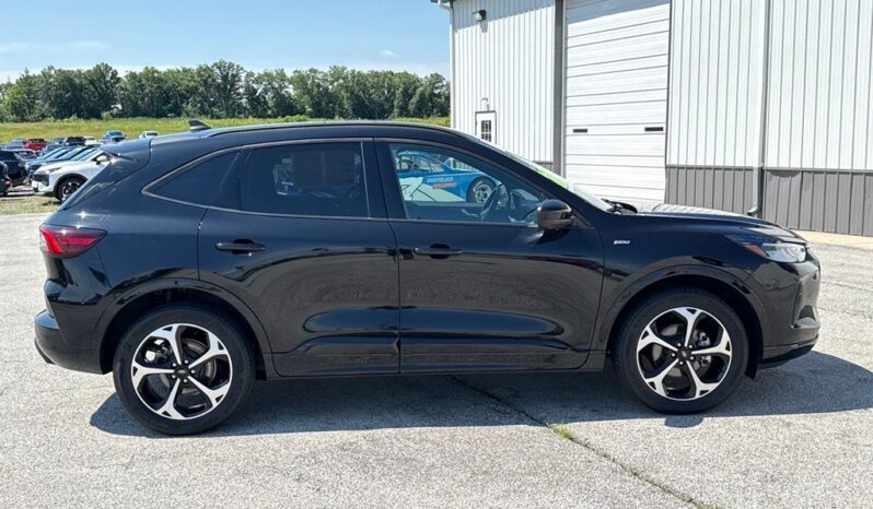
 Ford Escape full									