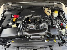 
 Jeep Gladiator full									