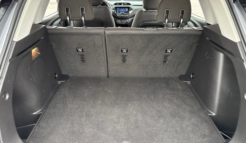 
 Chevrolet TrailBlazer full									