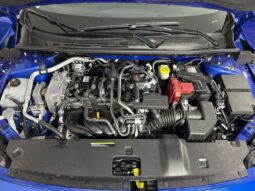 
										Nissan Sentra full									