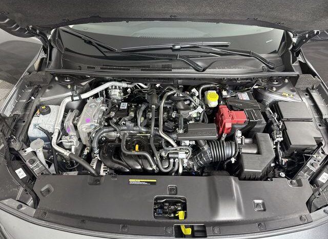 
 Nissan Sentra full									