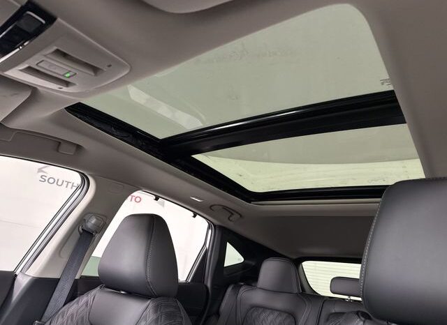 
 Nissan Murano full									