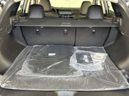 Nissan Murano full