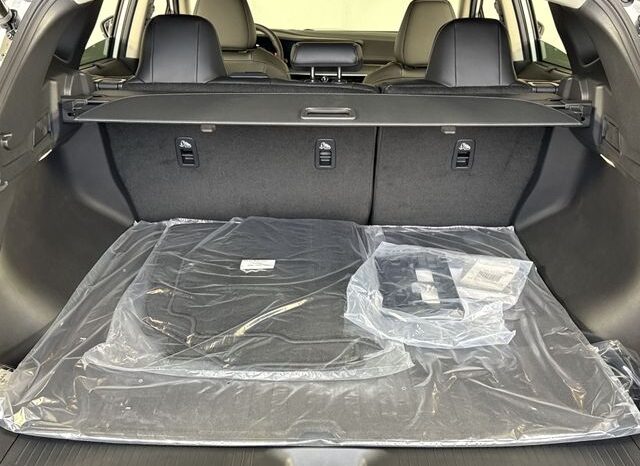 
 Nissan Murano full									