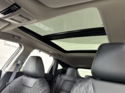 
 Nissan Murano full									