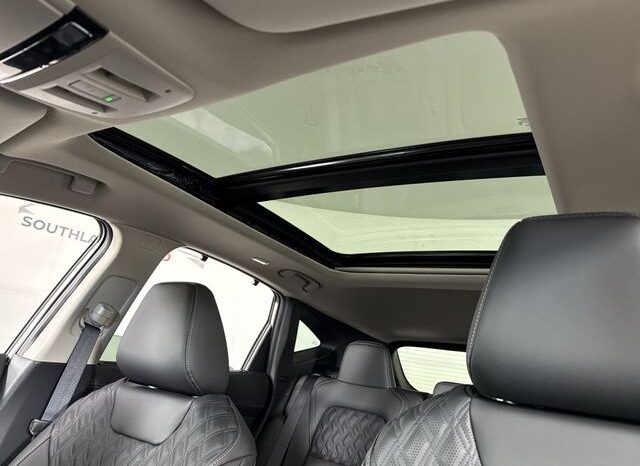 
 Nissan Murano full									