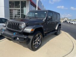 
										Jeep Wrangler full									